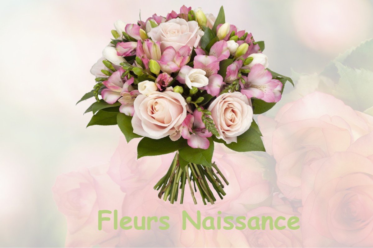 fleurs naissance SEPTEMES-LES-VALLONS