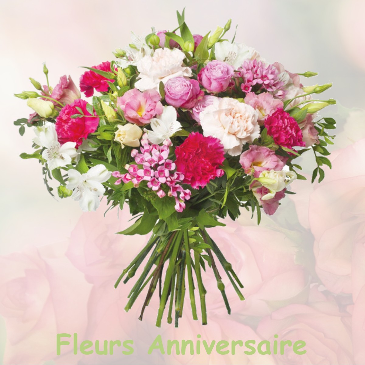 fleurs anniversaire SEPTEMES-LES-VALLONS