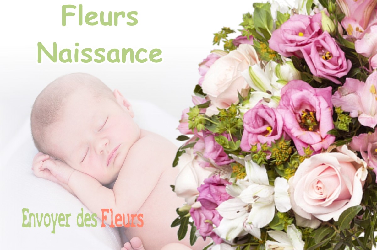 lIVRAISON FLEURS NAISSANCE à SEPTEMES-LES-VALLONS